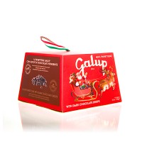 Galup Panettoncino con gocce di cioccolato - Mini Panettone mit Schokolade 100g