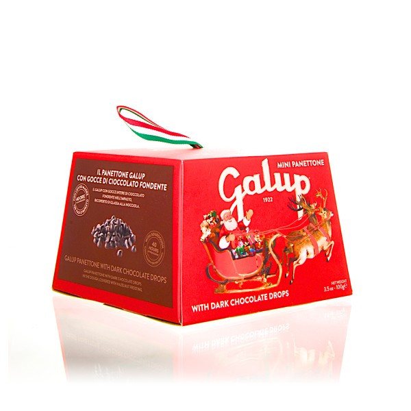 Galup Panettoncino con gocce di cioccolato - Mini Panettone mit Schokolade 100g